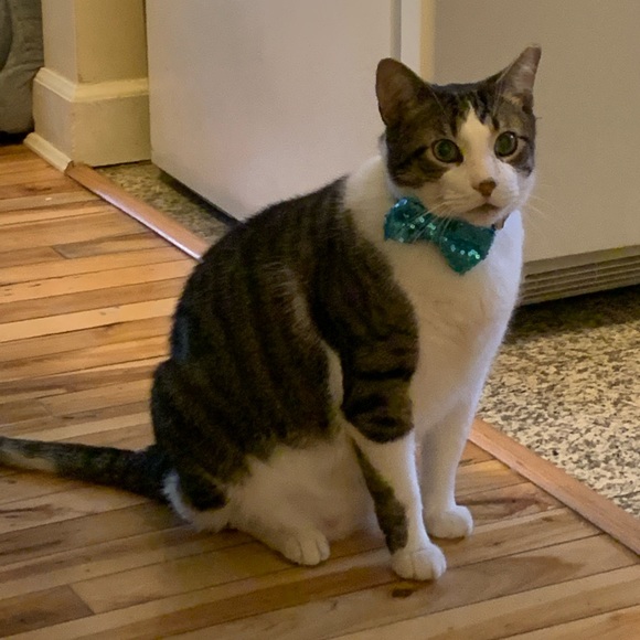 🌞🌝Welcome to my closet ✨ - Picture 9 of 14